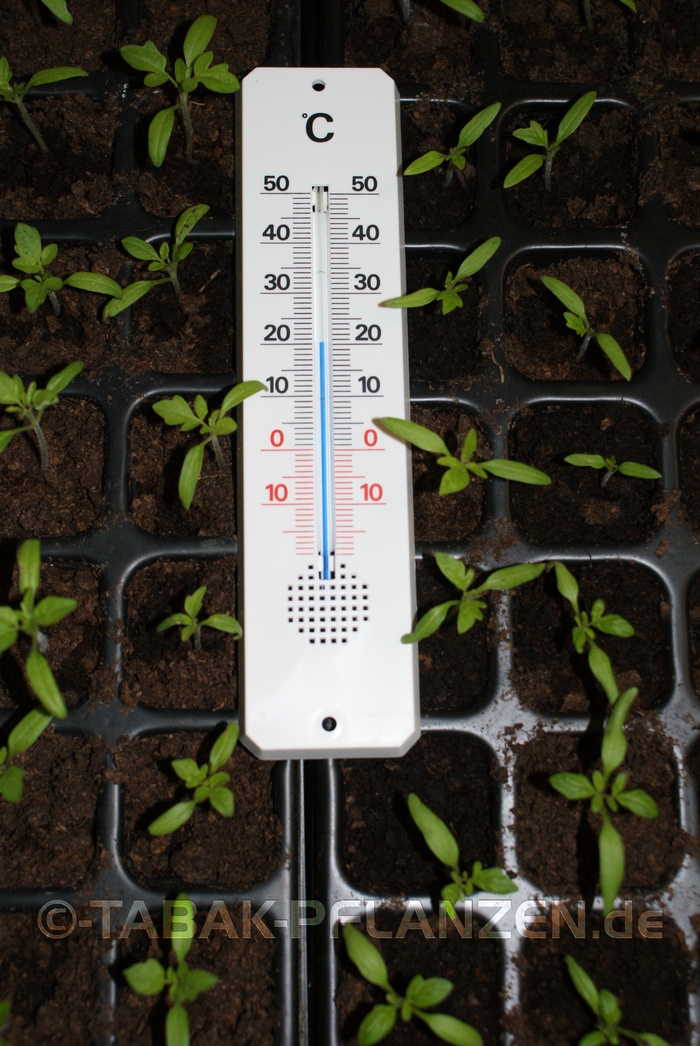 Thermometer G�rtnerthermometer drinnen und draussen