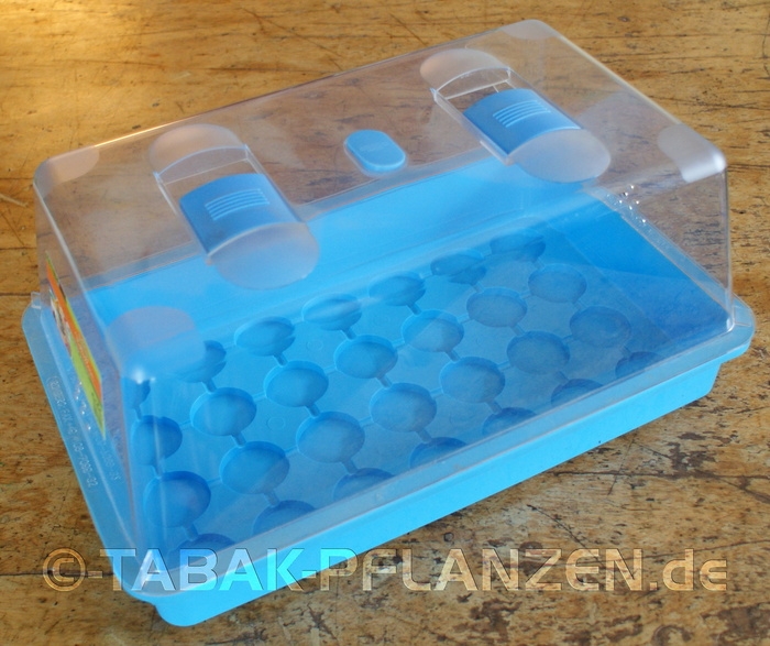 Tabakanbau Zimmergew�chshaus 38 x 24 x 19 cm, blue